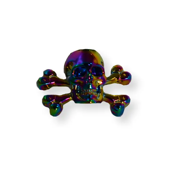 Rainbow- plate skull-and-crossbones lapel badge