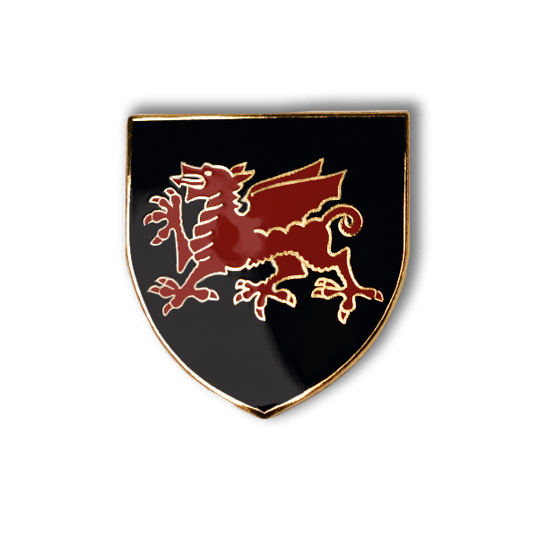 Red Dragon Enamel Shield Badge