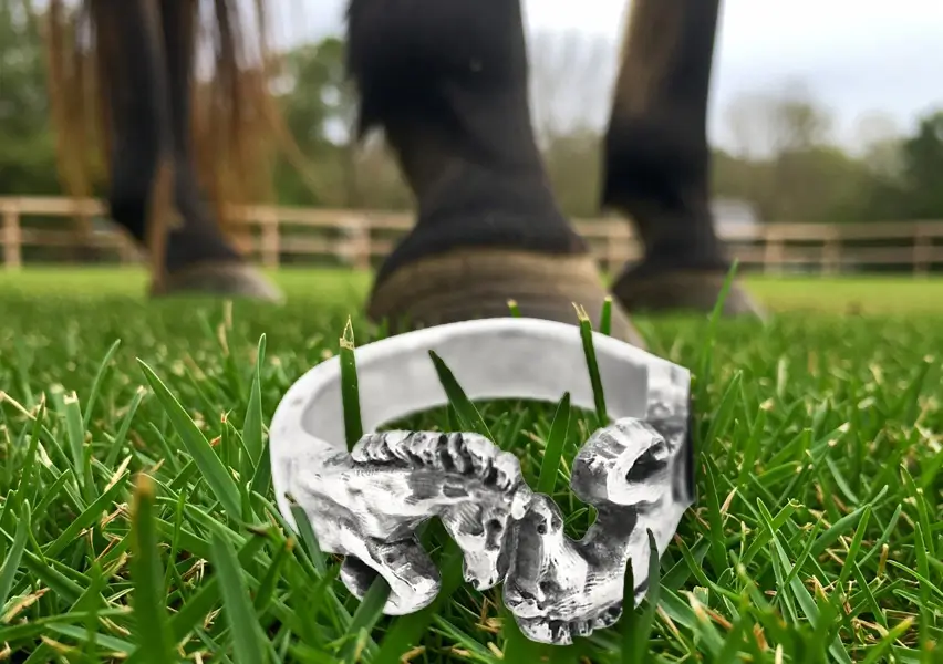 Sterling silver horse ring lying in the grass of a horse paddock.