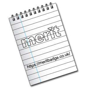 Merit Logo and Landing page URL sketched in a notebook.
